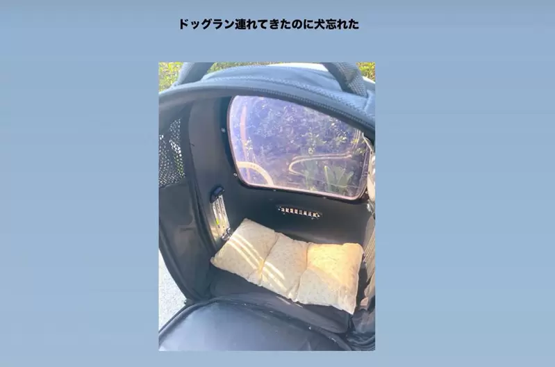 帶了狗運輸籠卻忘了帶狗 這段故事的好笑程度只能打100分不能再高了 帶了狗運輸籠卻忘了帶狗 這段故事的好笑程度只能打100分不能再高了