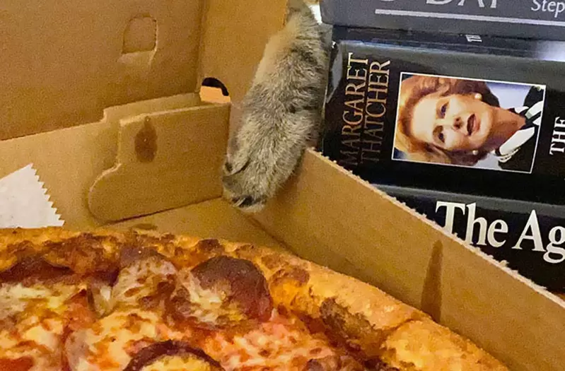 抓包毛孩偷吃食物的瞬間 問題就是抓到了也不能怎麼樣❤(開始吸) 抓包毛孩偷吃食物的瞬間 問題就是抓到了也不能怎麼樣❤(開始吸)