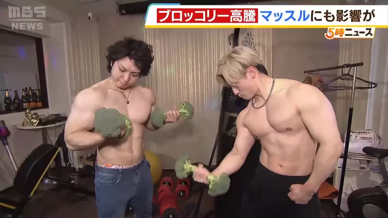 《日本肌肉酒吧危機》青花菜減產缺貨大漲價 每天都吃的肌肉男們叫苦連天 《日本肌肉酒吧危機》青花菜減產缺貨大漲價 每天都吃的肌肉男們叫苦連天