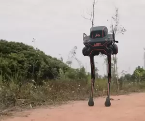 LimX Dynamics公司研發《Biped Robot P1》雙足步行機器人 它真的很穩之外走起路來還有種萌感