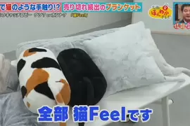 《觸感像貓的寢具：貓Feel》公寓大樓不能養貓怎麼辦？就靠這個填補空虛寂寞吧