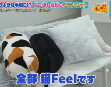 《觸感像貓的寢具:貓Feel》公寓大樓不能養貓怎麼辦?就靠這個填補空虛寂寞吧