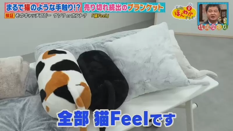 《觸感像貓的寢具:貓Feel》公寓大樓不能養貓怎麼辦?就靠這個填補空虛寂寞吧 《觸感像貓的寢具:貓Feel》公寓大樓不能養貓怎麼辦?就靠這個填補空虛寂寞吧