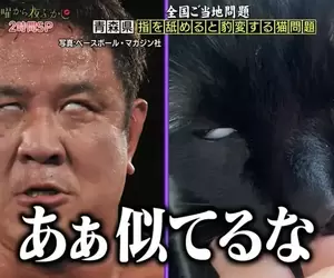 舔手指會爽到翻白眼的貓 網友開玩笑表示這表情跟摔角手「永田裕志」用力時一模一樣XD