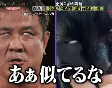 舔手指會爽到翻白眼的貓 網友開玩笑表示這表情跟摔角手「永田裕志」用力時一模一樣XD