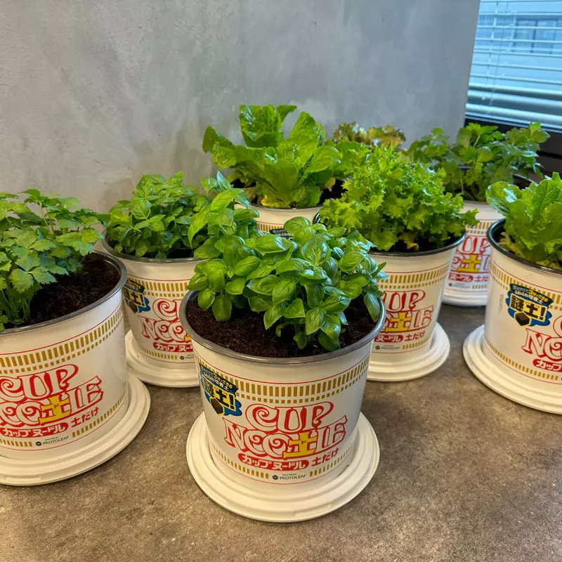 日清與園藝品牌「ProtoLeaf」合作 推出意想不到的趣味商品「杯麵盆栽」 日清與園藝品牌「ProtoLeaf」合作 推出意想不到的趣味商品「杯麵盆栽」