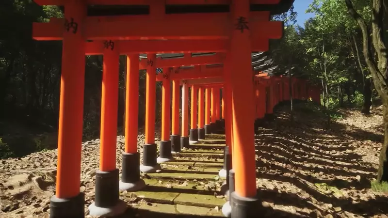 用虛幻引擎5打造的《伏見稻荷大社》如真似幻的場景帶你步行穿越神社的千本鳥居長廊