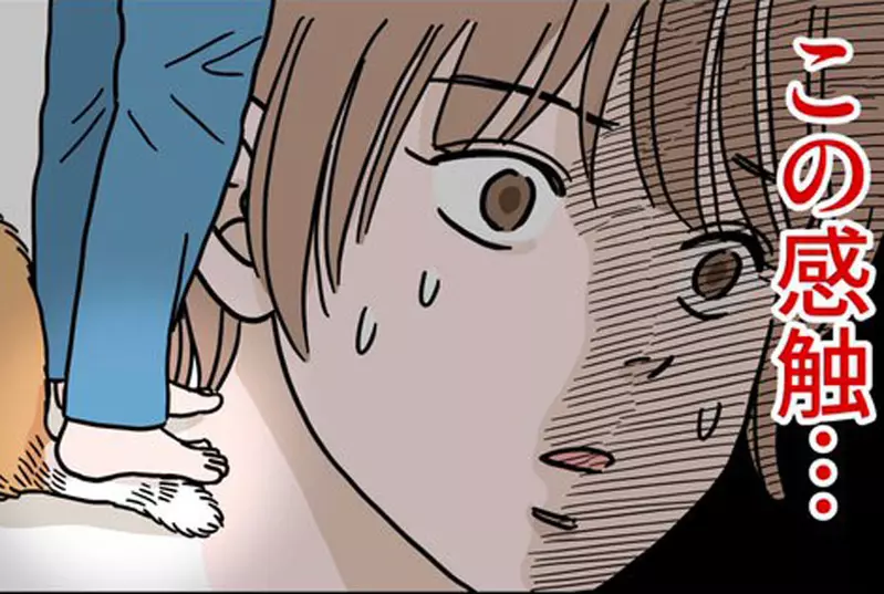 《以為自己踩到貓》這可能是所有養貓飼主都曾有過的經歷？