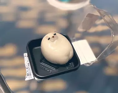 京都水族館可愛周邊《海豹黑芝麻大福》讓人感覺幸福的點心這是要怎麼開口吃啊(汗)