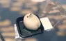 京都水族館可愛周邊《海豹黑芝麻大福》讓人感覺幸福的點心這是要怎麼開口吃啊(汗)
