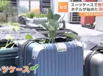 回收再利用《行李箱種菜法》日本飯店想出來讓資源不浪費又能妥善使用的方法 回收再利用《行李箱種菜法》日本飯店想出來讓資源不浪費又能妥善使用的方法