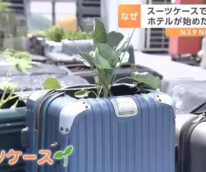 回收再利用《行李箱種菜法》日本飯店想出來讓資源不浪費又能妥善使用的方法