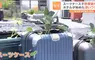 回收再利用《行李箱種菜法》日本飯店想出來讓資源不浪費又能妥善使用的方法