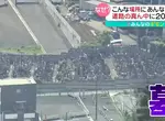 《日本東京奇葩道路》墳墓直接擋在路中央？政府與寺廟爭論多年始終無法通車