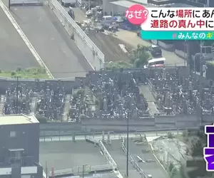 《日本東京奇葩道路》墳墓直接擋在路中央？政府與寺廟爭論多年始終無法通車