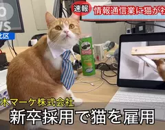 一本正經的搞笑《日本企業招聘貓員工》解決少子化的方法就是引進貓貓進入職場 一本正經的搞笑《日本企業招聘貓員工》解決少子化的方法就是引進貓貓進入職場