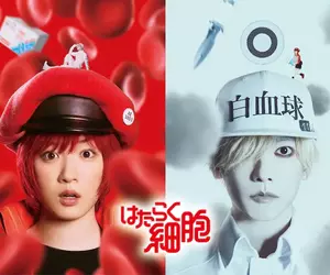 真人電影版《工作細胞》雙主角紅血球由永野芽郁飾演，而白血球找來了佐藤健擔綱演出