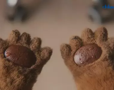 日本久光製藥推出《手掌多汗症》廣告影片 用海獺布偶拍攝超可愛成功引起網友關注