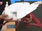《法琳奇美拉模型》好微笑公司公布真實比例尺 你家已經騰出足夠的空間了嗎? 《法琳奇美拉模型》好微笑公司公布真實比例尺 你家已經騰出足夠的空間了嗎?