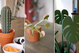 用3D列印製成的植物類便利小物 小創意大發揮想想每招都覺得很厲害