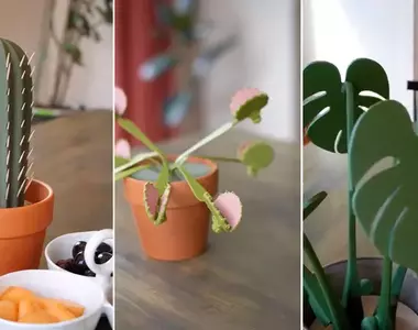 用3D列印製成的植物類便利小物 小創意大發揮想想每招都覺得很厲害