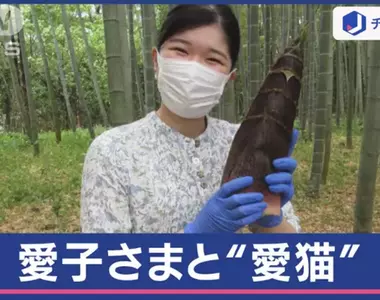 《日本公主的愛貓》這隻貓怎麼看都像是竹筍?皇室這麼說網友誰敢有意見