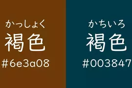 《這兩種顏色都是褐色》日文的重大BUG？光看字面誰知道在講哪一種顏色