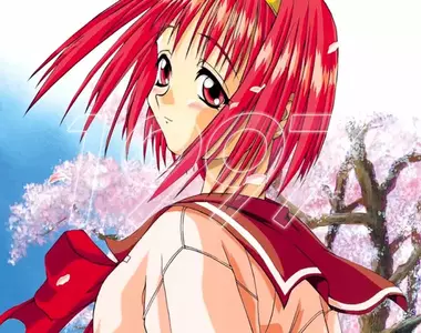 《To Heart重製版》老玩家回憶當年往事 稱呼這款遊戲「東鳩」就證明這個人是超級老屁股?