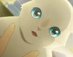 《幻想自己有貓的網友》詭異行為引發關注 大家原本還以為他在緬懷逝去的愛貓 《幻想自己有貓的網友》詭異行為引發關注 大家原本還以為他在緬懷逝去的愛貓