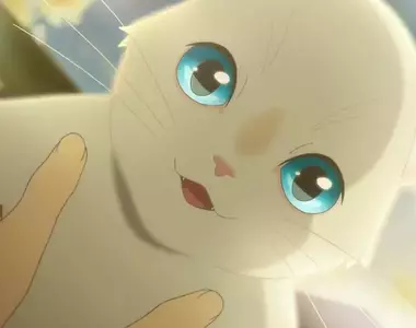 《幻想自己有貓的網友》詭異行為引發關注 大家原本還以為他在緬懷逝去的愛貓