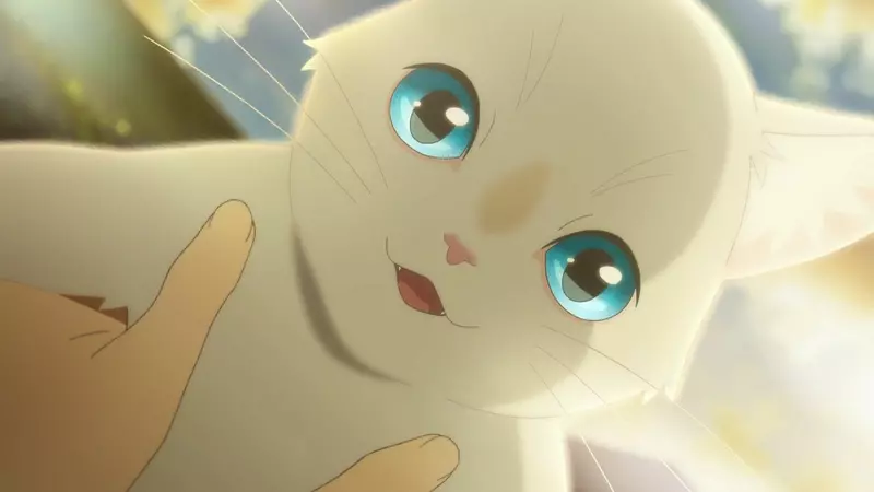 《幻想自己有貓的網友》詭異行為引發關注 大家原本還以為他在緬懷逝去的愛貓 《幻想自己有貓的網友》詭異行為引發關注 大家原本還以為他在緬懷逝去的愛貓