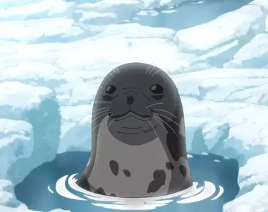 《荷蘭海豹幼稚園》超萌模樣在地球另一端爆紅 員工COSPLAY感謝日本網友熱情斗內