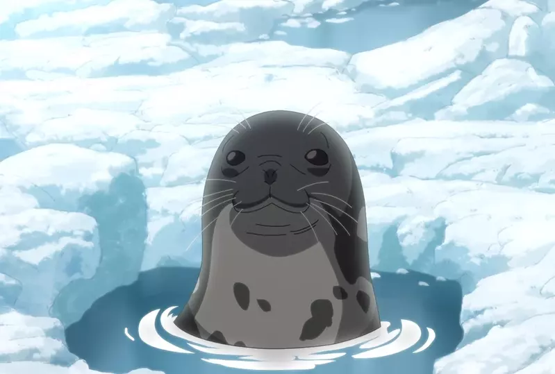 《荷蘭海豹幼稚園》超萌模樣在地球另一端爆紅 員工COSPLAY感謝日本網友熱情斗內 《荷蘭海豹幼稚園》超萌模樣在地球另一端爆紅 員工COSPLAY感謝日本網友熱情斗內