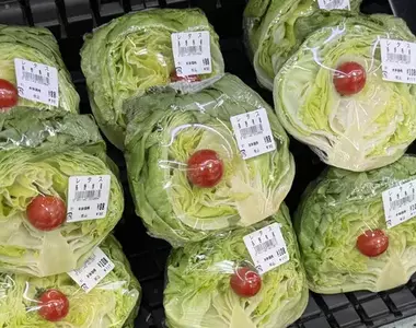 《日本超市的詭異萵苣》為什麼跟小番茄包在一起賣?網友猜想背後隱藏的意義