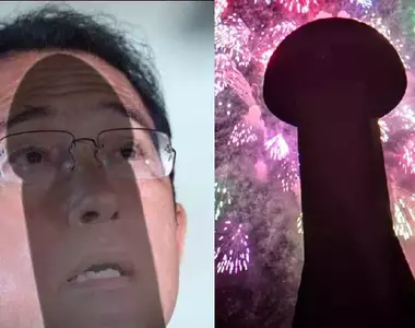 煙火大會上的巨根 為了找個好位子還買了要收費的座位,結果拍出來的照片全都有一根巨大的遮擋物