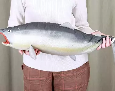 《鮭魚卵U型護頸枕》平常鮭魚狀態可以帶著走,想睡覺把鮭魚卵扯出來就可以當枕頭(獵奇?)