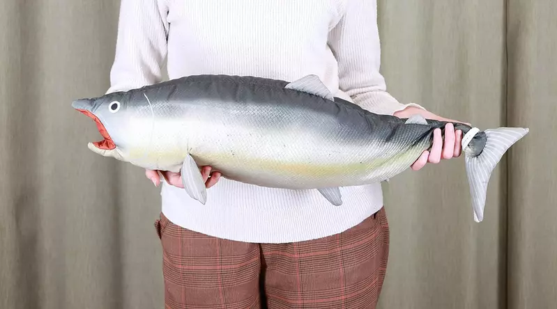 《鮭魚卵U型護頸枕》平常鮭魚狀態可以帶著走,想睡覺把鮭魚卵扯出來就可以當枕頭(獵奇?) 《鮭魚卵U型護頸枕》平常鮭魚狀態可以帶著走,想睡覺把鮭魚卵扯出來就可以當枕頭(獵奇?)