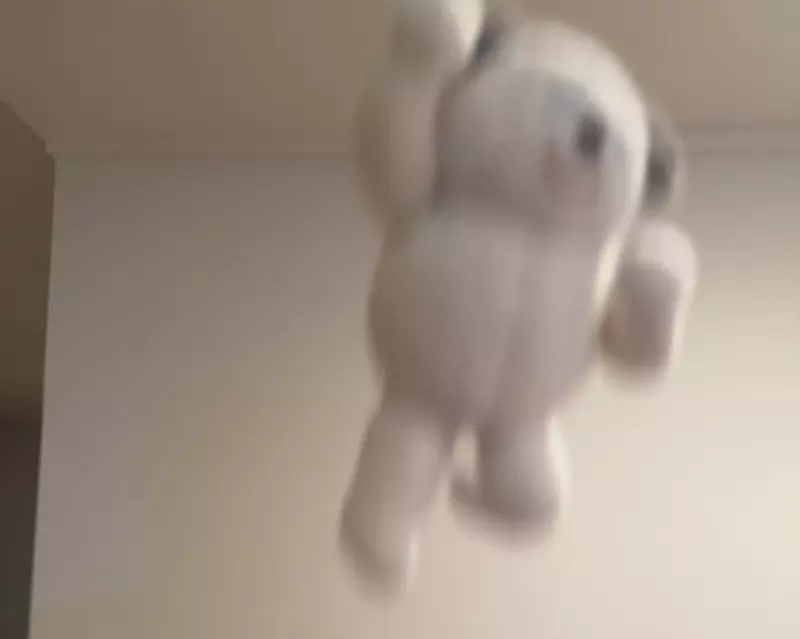 《拋玩偶拍照的技巧》為什麼我拍出來都這麼醜?日本網友徵求改善意見 《拋玩偶拍照的技巧》為什麼我拍出來都這麼醜?日本網友徵求改善意見