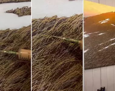用注射器描繪畫作中的風景 來自烏克蘭的藝術家《Oleh Dron》巧妙掌握住了細節的處理方式