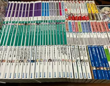 《輕小說作家六海刻羽》粉絲問他一年看了幾本書？這是細數一整年的結果……