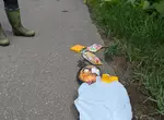 《路邊的詭異便當》是兇案?是意外?是沒品的人?網友們提出各種毛骨悚然的推論…… 《路邊的詭異便當》是兇案?是意外?是沒品的人?網友們提出各種毛骨悚然的推論……