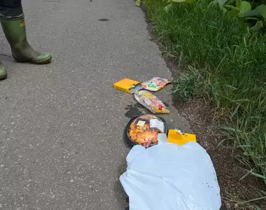 《路邊的詭異便當》是兇案?是意外?是沒品的人?網友們提出各種毛骨悚然的推論……