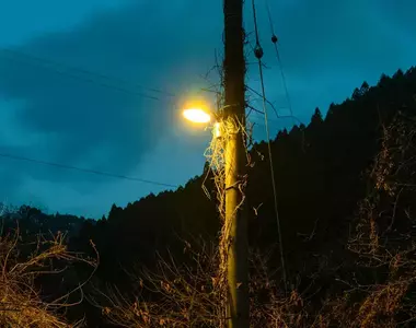 《照亮廢村的路燈》遊戲玩家總會吐槽不合理 廢墟探險家表示真的有看過