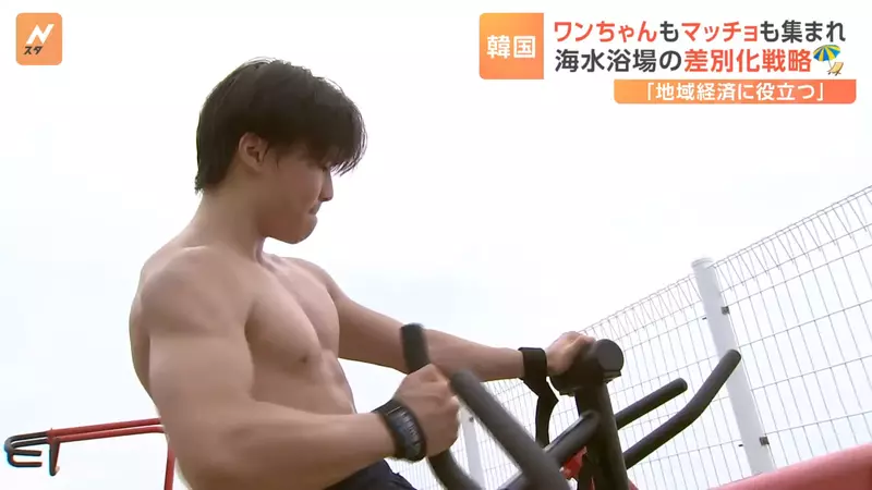 韓國肌肉海灘 免費的健身設備讓你隨便用，天氣炎熱的當下就在這裡揮汗暢快操練吧