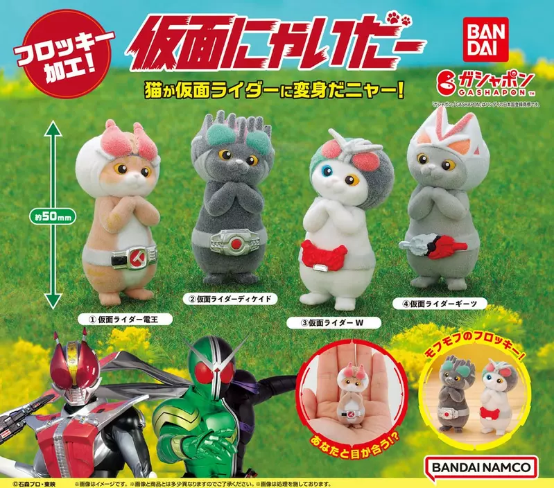 這也太可萌了《貓貓假面騎士》貓控的特攝粉應該愛了吧？