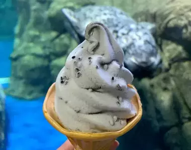 讓人好奇的味道《海豹霜淇淋》新江之島水族館推出的特色冰品