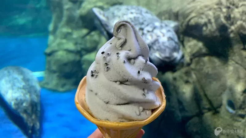 讓人好奇的味道《海豹霜淇淋》新江之島水族館推出的特色冰品 讓人好奇的味道《海豹霜淇淋》新江之島水族館推出的特色冰品