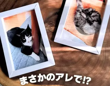 網友教學《一張彩色卡紙自製成相框的方法》超簡單教學吸引百萬網友觀看