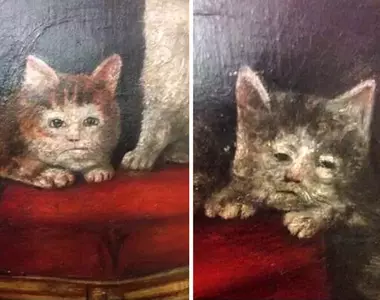 中世紀奇怪的動物畫作 原來以前的貓貓就一副厭世臉嗎?