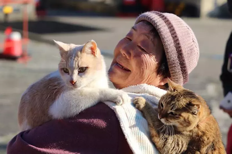 《貓島「青島」的未來》居民和貓咪都面臨高齡化 貓媽媽陪伴大家享受最後的幸福時光